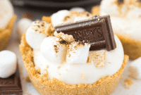 Dreamy Smores No-Bake Cheesecake Delights