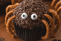 Creepy Crawler Cupcakes