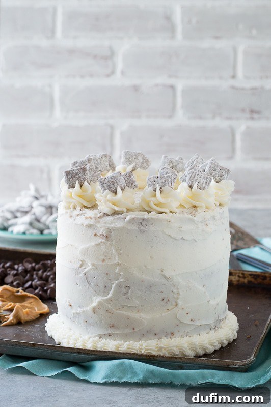 Puppy Chow Cake - chocolate and peanut butter cake loaded with puppy chow in between each layer! 