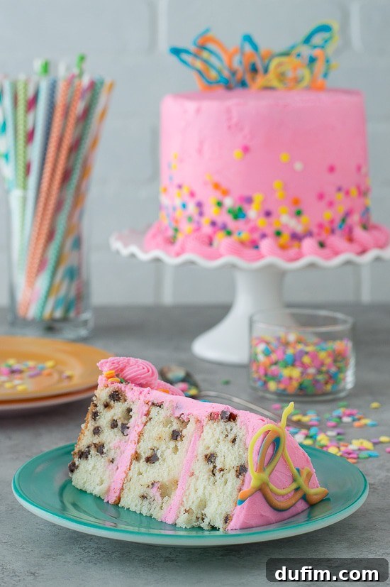 A stunning Pink Confetti Chocolate Chip Cake, frosted with smooth pink buttercream, adorned with a band of confetti sprinkles at the base, and topped with delicate, abstract chocolate art.