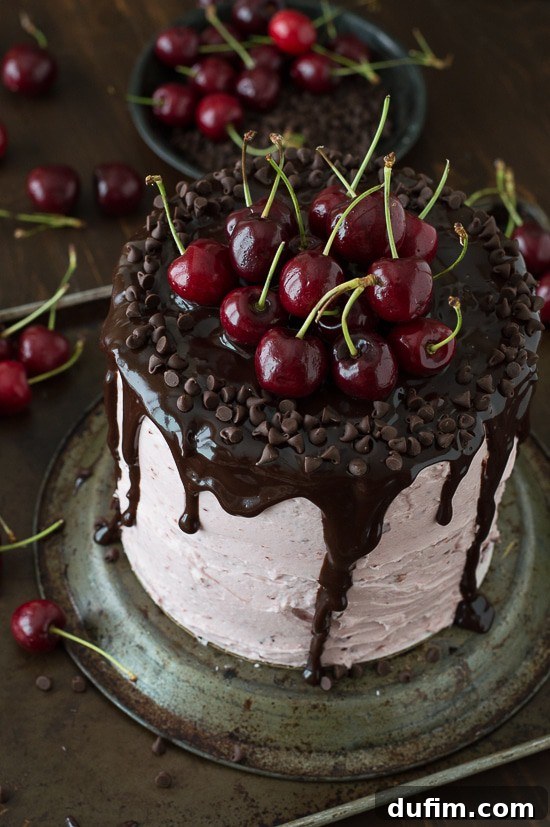 A magnificent three-layer white cake showcasing its delicious filling of fresh chopped cherries and smooth cherry buttercream. The cake is beautifully finished with a chocolate ganache drizzle and garnished with fresh cherries.