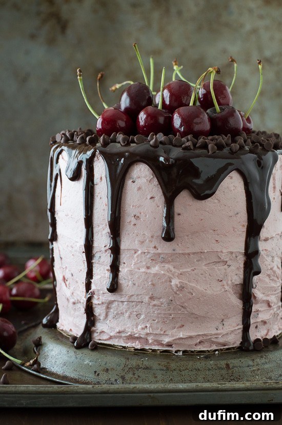 A beautiful three-layer white cake filled with generous layers of chopped cherries and smooth cherry buttercream. The top is drizzled with chocolate ganache and adorned with fresh cherries, ready to be served.