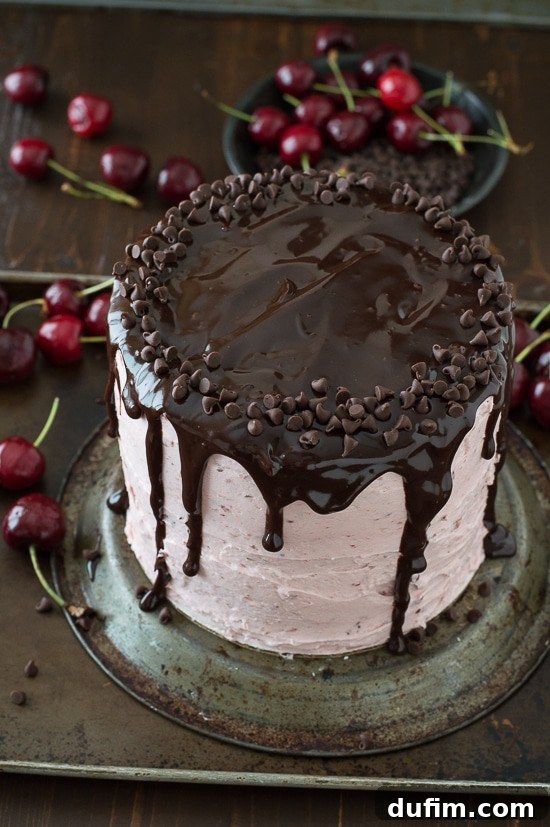 A beautifully composed shot of a three-layer white cake filled with chopped cherries and cherry buttercream. It's elegantly topped with a rich chocolate ganache drizzle and fresh cherries, highlighting its exquisite presentation.