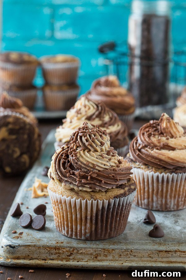 Chocolate Peanut Butter Bliss Cupcakes 2 Delicious swirled chocolate peanut butter cupcakes topped with chocolate peanut butter buttercream, presented beautifully for a tempting dessert.