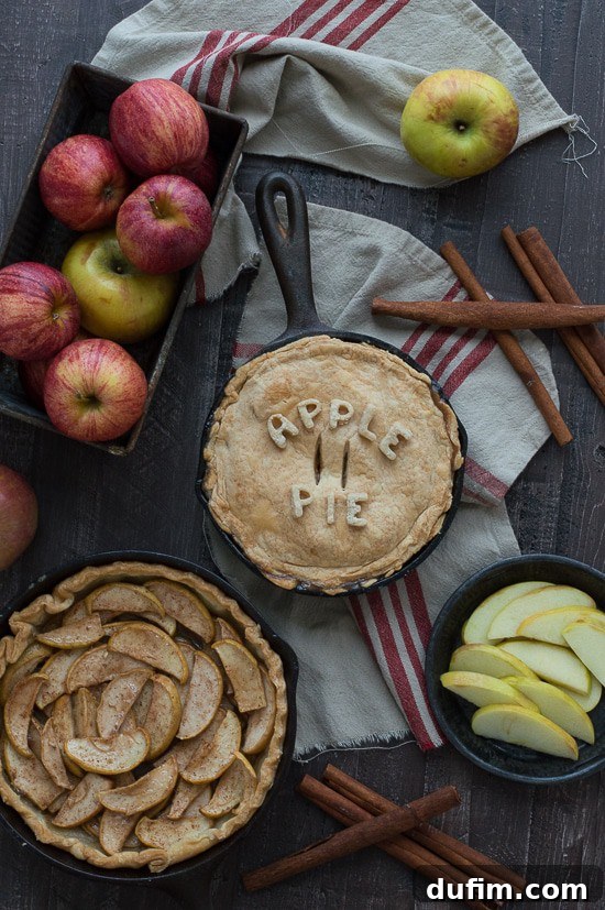 Make apple pie in a cast iron skillet! Full of apples and cinnamon, use either homemade dough or store bought! 