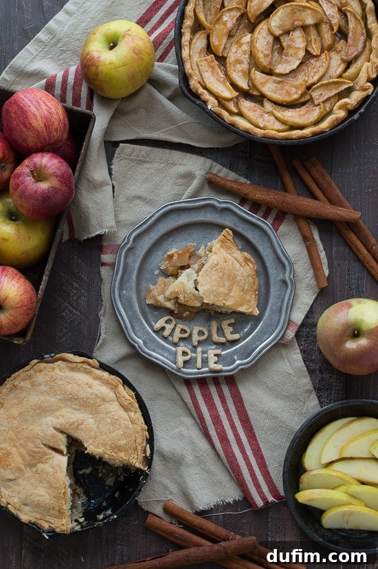 Make apple pie in a cast iron skillet! Full of apples and cinnamon, use either homemade dough or store bought! 