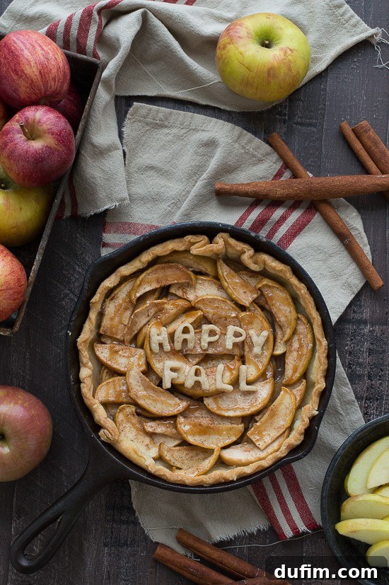 Make apple pie in a cast iron skillet! Full of apples and cinnamon, use either homemade dough or store bought! 