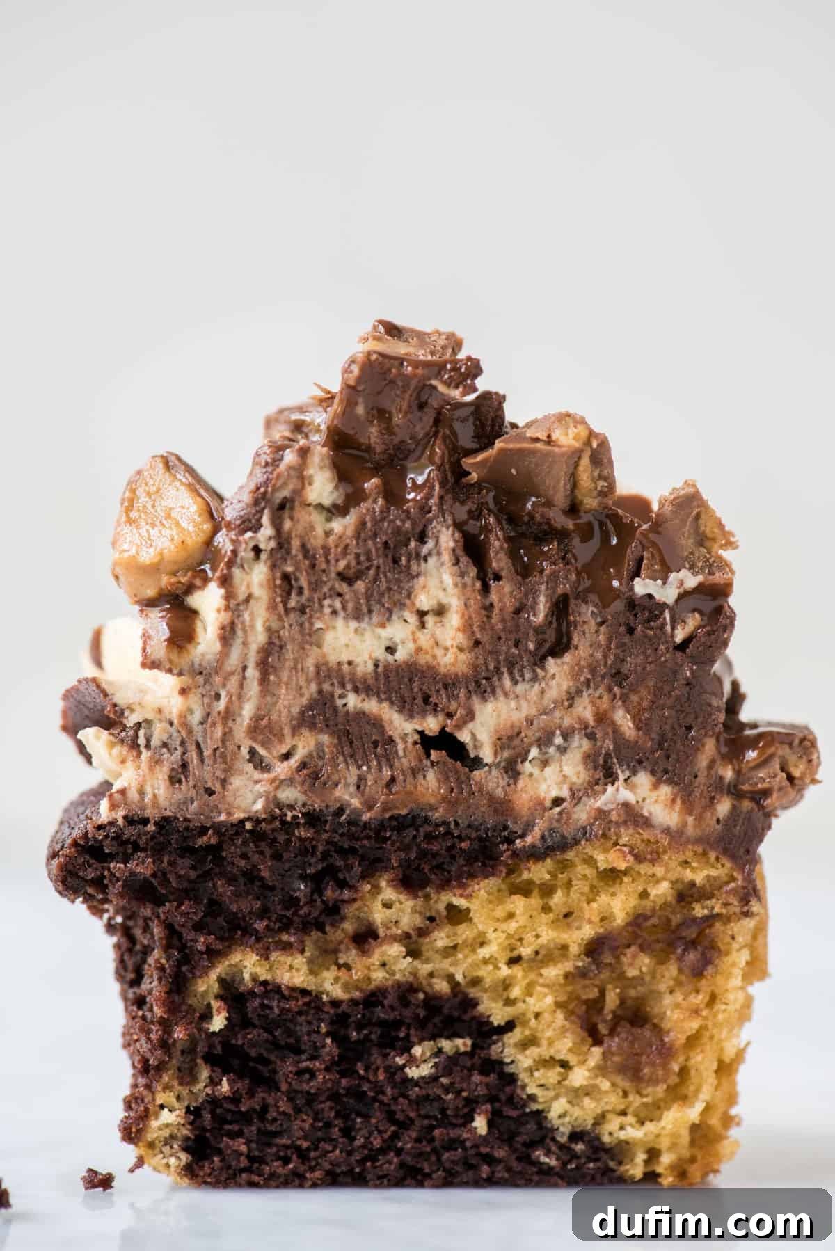chocolate peanut butter cupcake with swirled chocolate peanut butter frosting cut in half on white background