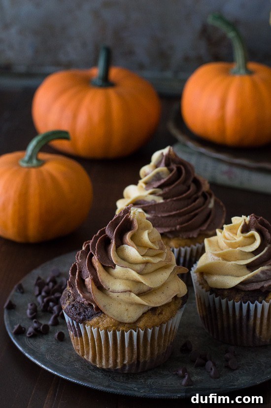 Harvest Pumpkin Chocolate Delights 2 Delicious swirled pumpkin and chocolate cupcakes topped with two-toned pumpkin and chocolate buttercream frosting, perfectly capturing the essence of fall baking.