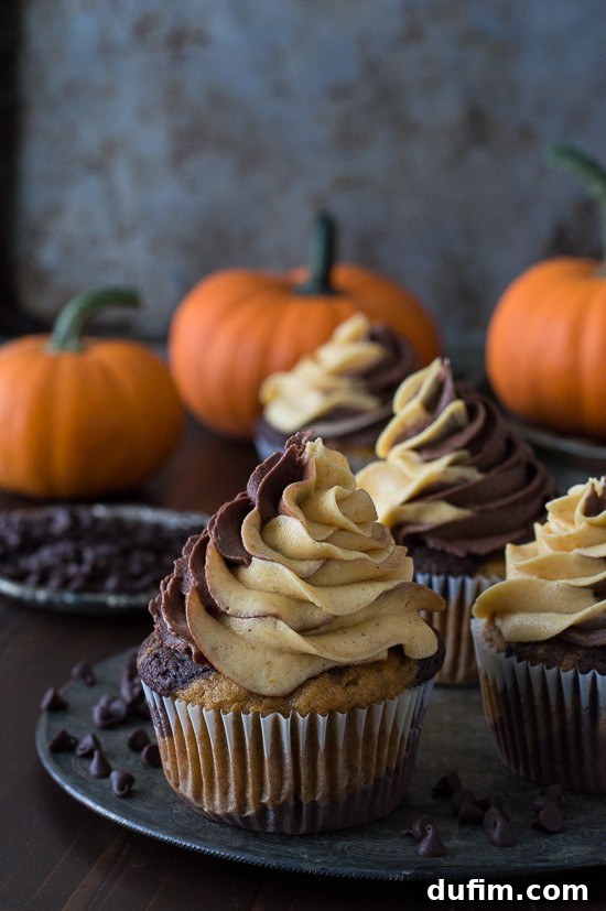 Harvest Pumpkin Chocolate Delights 3 A close-up of swirled pumpkin and chocolate cupcake batter in muffin liners, ready for baking.