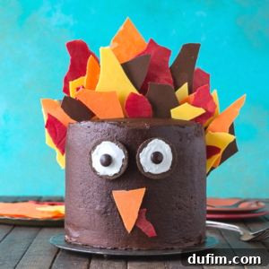 A chocolate cake decorated to look like a turkey, with large candy eyes, an orange candy beak, and colorful pieces of red, yellow, and orange candy arranged as feathers against a blue background.