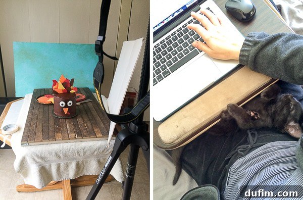 Behind the scenes of the turkey cake recipe and Salsa sleeping in a lap