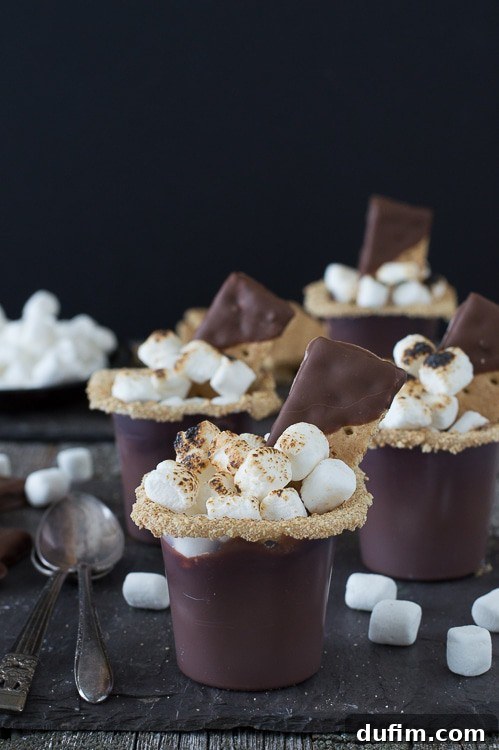 The Flavors That Defined 2015 3 Delicious S'mores Pudding Cups layered with chocolate, graham cracker, and marshmallow