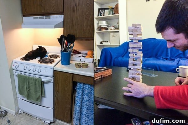 From Stove to Story: January 2016 2 January 2016 Recap Image 1: Cat Salsa on oven, Jenga game