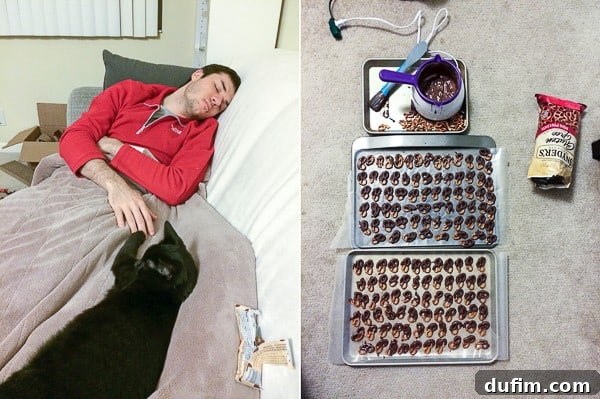 From Stove to Story: January 2016 6 January 2016 Recap Image 5: Two sleeping boys (cat and human) touching hands, Salsa batting at chocolate pretzels