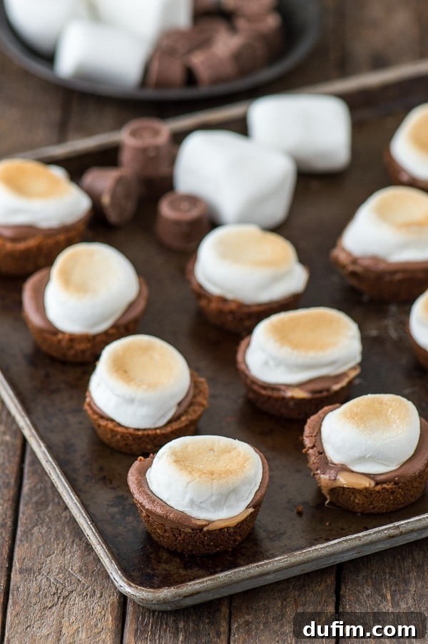 A tray of Turtle S'mores Bites cooling on a rack, showcasing the individual bites with their pecan crust, melted Rolo center, and fluffy toasted marshmallow topping.