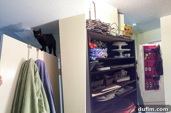 Salsa the kitten perched on a bedroom door and a Raspberry Pi device used for home monitoring