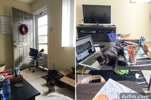 Salsa the kitten observing adult coloring supplies and an open adult coloring book