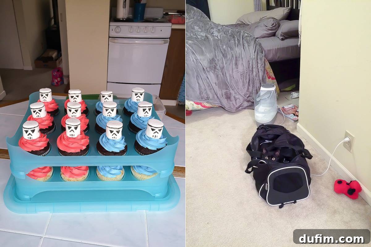 Star Wars birthday party cupcakes with stormtrooper marshmallows and Salsa the cat hiding in a bag