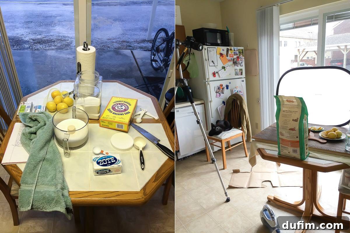 Homemade laundry detergent ingredients being processed and Salsa the cat perched on a bounce board