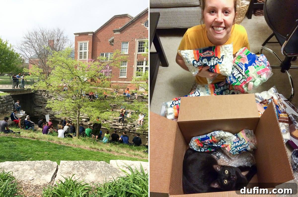 Professor holding an outdoor class in a stream, and a large marshmallow package