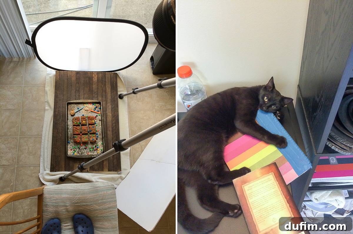 Unhealthy monster cookie bars and a cat disrupting work from home