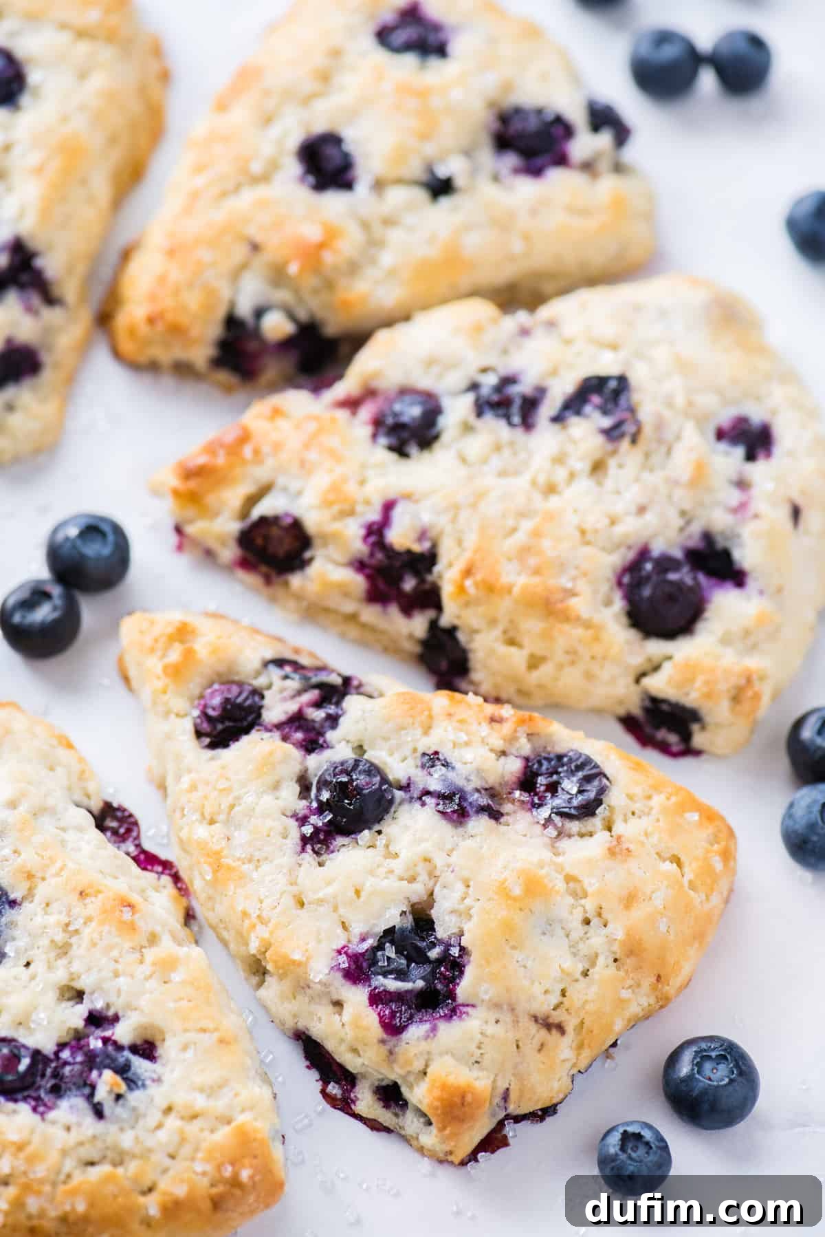 Tender Blueberry Buttermilk Scones 4 A delightful arrangement of blueberry scones in a half-circle pattern on a crisp white background, highlighting their uniform shape and appealing texture.
