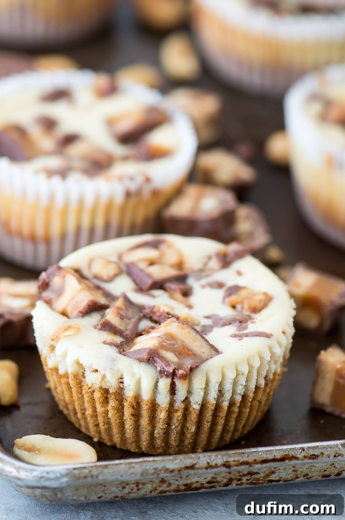 Mini Snickers cheesecakes on a dark metal pan, showcasing their rich filling and candy toppings.
