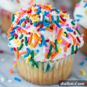 A vanilla funfetti cupcake topped with white frosting and decorated with colorful rainbow sprinkles.