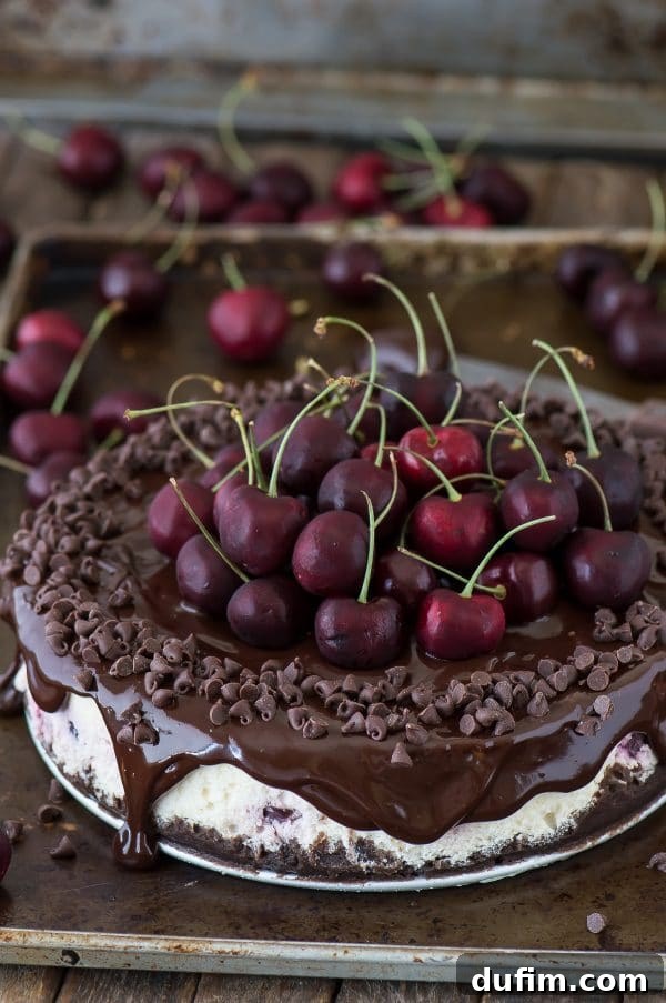 Rich Chocolate Cherry Indulgence 2 Fresh chocolate cherry cheesecake with a chocolate crust, baked cherries, and ganache.