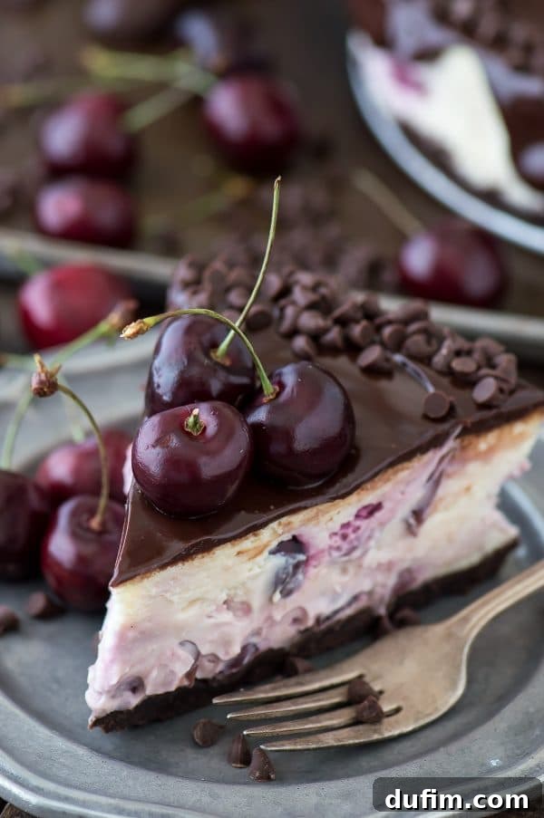 Rich Chocolate Cherry Indulgence 4 Ingredients for chocolate cherry cheesecake including cream cheese, eggs, cherries, and coffee creamer.