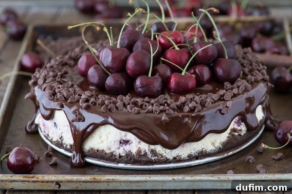 Rich Chocolate Cherry Indulgence 6 Sliced chocolate cherry cheesecake with ganache and fresh cherries.