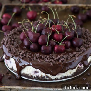 Fresh chocolate cherry cheesecake with a chocolate crust, baked cherries, and ganache.