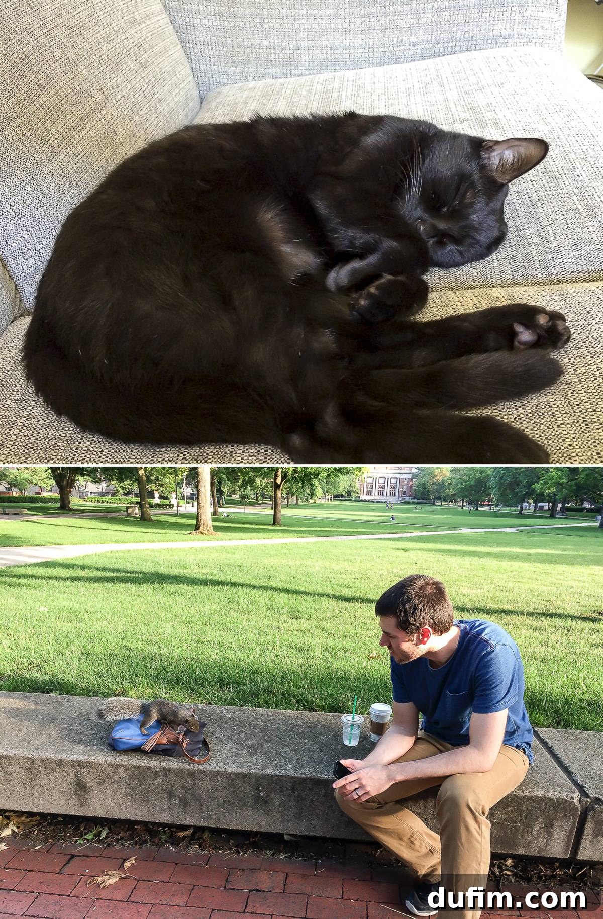 Salsa, our cherished fur baby, and a curious squirrel sniffing my purse