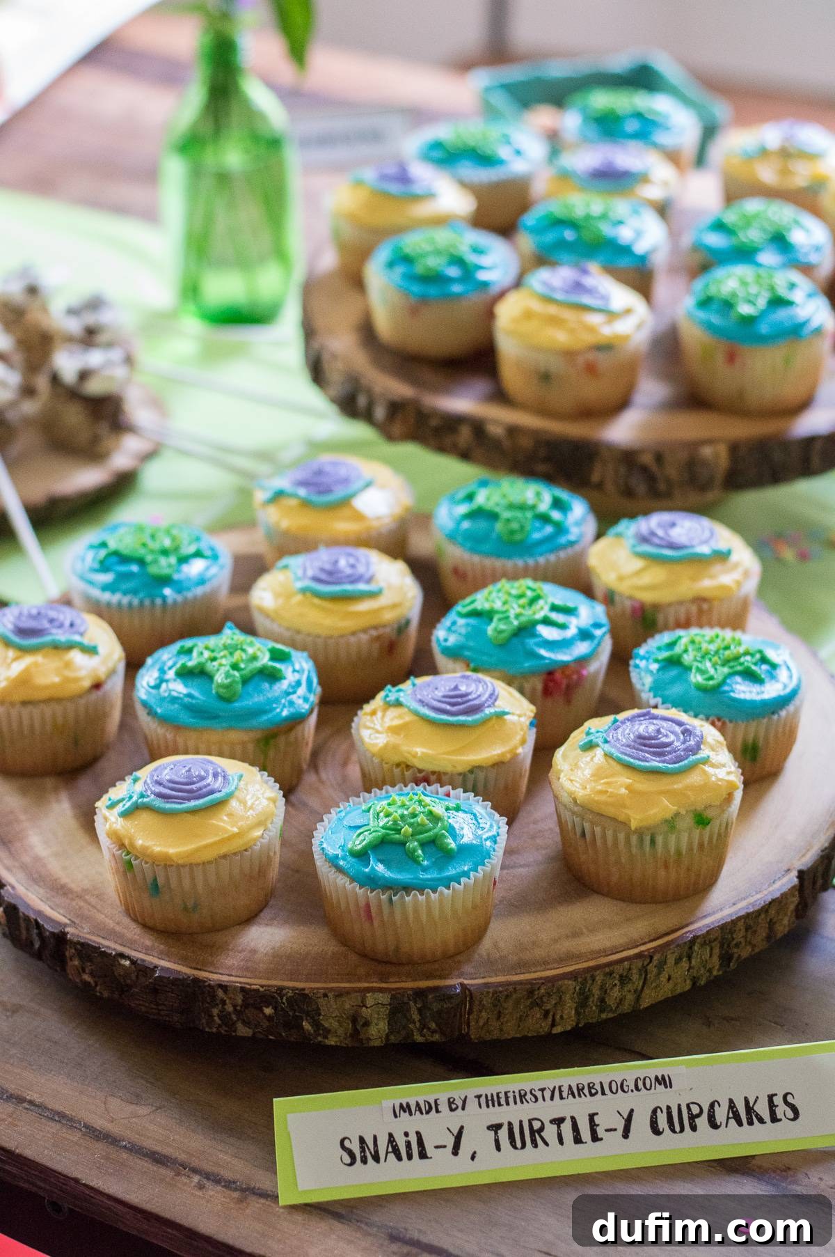 A Dream Fulfilled Adoption Party 8 Homemade funfetti cupcakes, beautifully decorated with charming piped frosting designs of whimsical snails and cute turtles, ready to be enjoyed at the 'Worth the Wait' celebration.