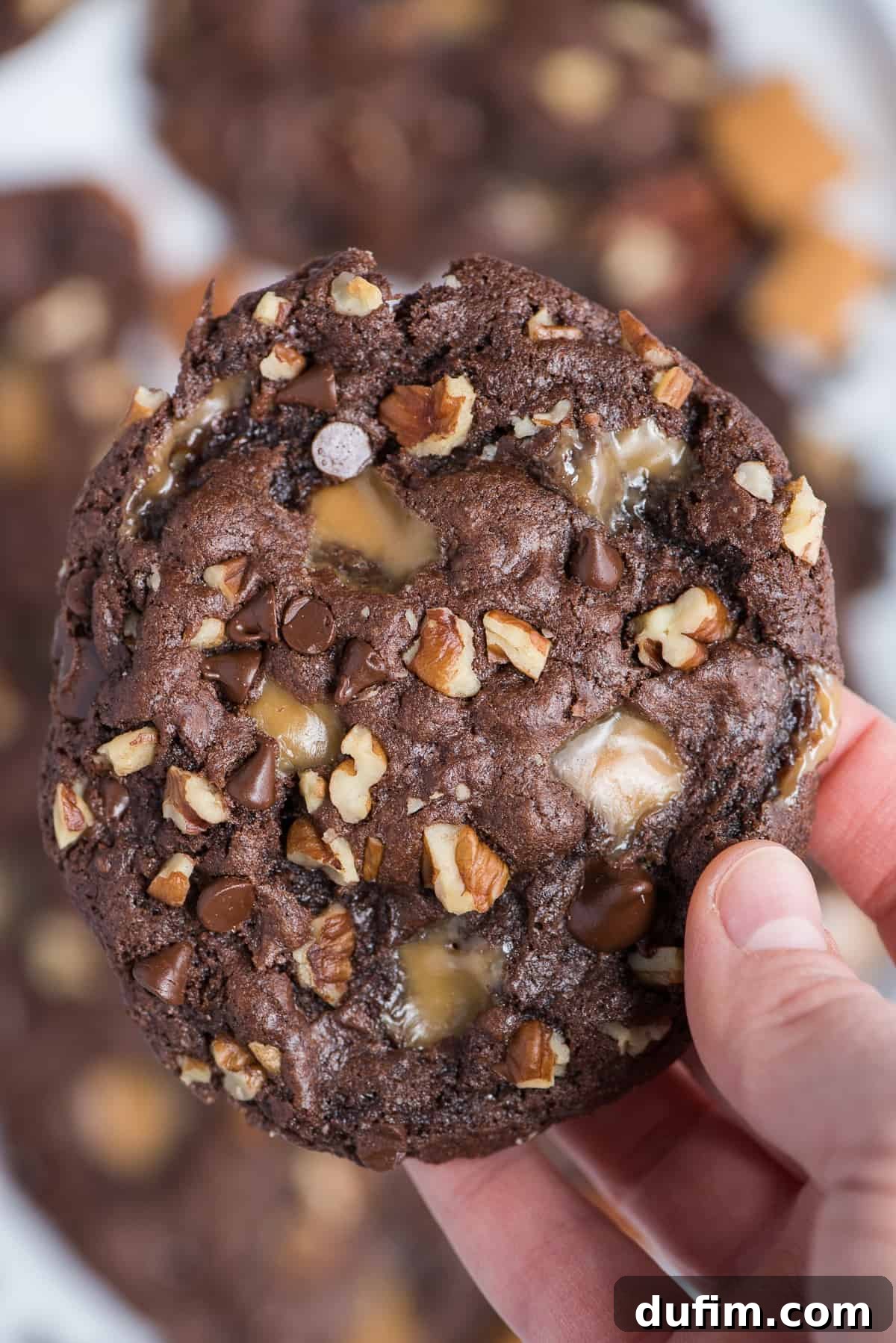 A close-up shot of a hand gently holding a single, perfectly baked chocolate turtle cookie, revealing its rich chocolate base, visible caramel swirls, toasted pecans, and melted chocolate chips.