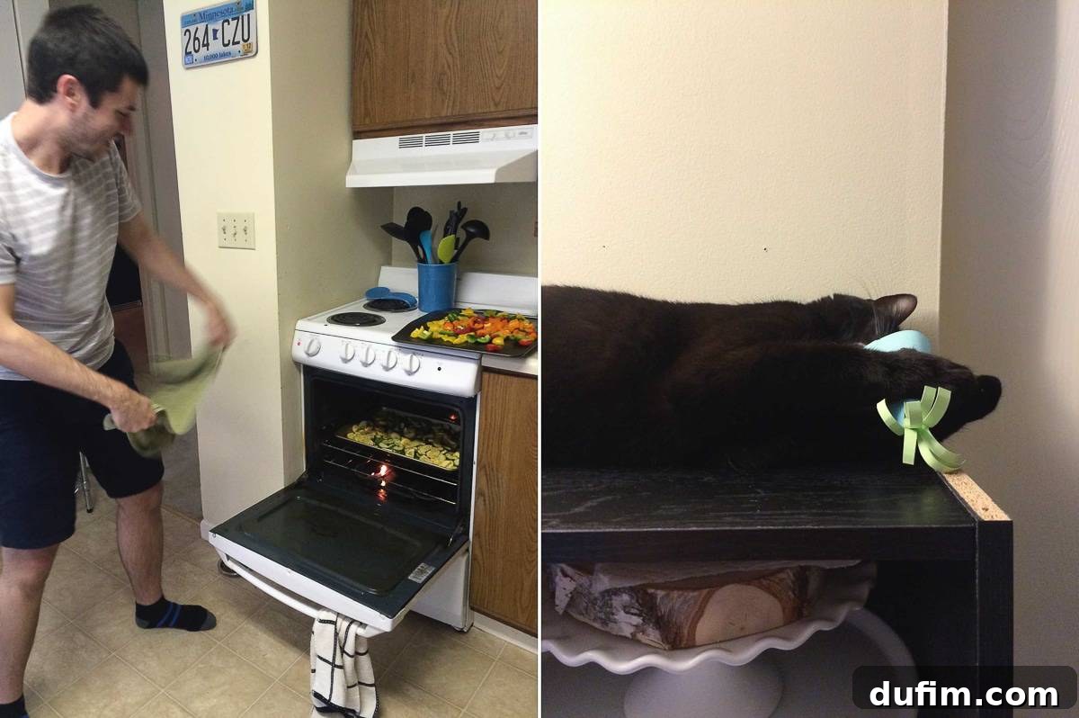 Aftermath of a small oven fire with smoky vegetables; cat Salsa celebrating his 1st birthday, comically attacking a party hat.