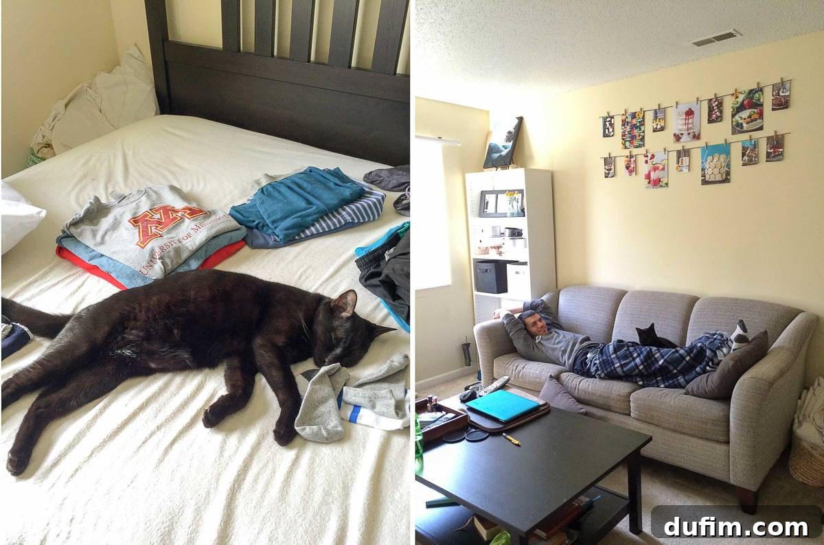 Salsa the Cat's Cozy Snuggles and Daytime Charms