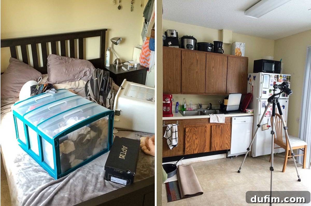 Ryan's Anti-Nap Strategy and Our Home's Lively Clutter