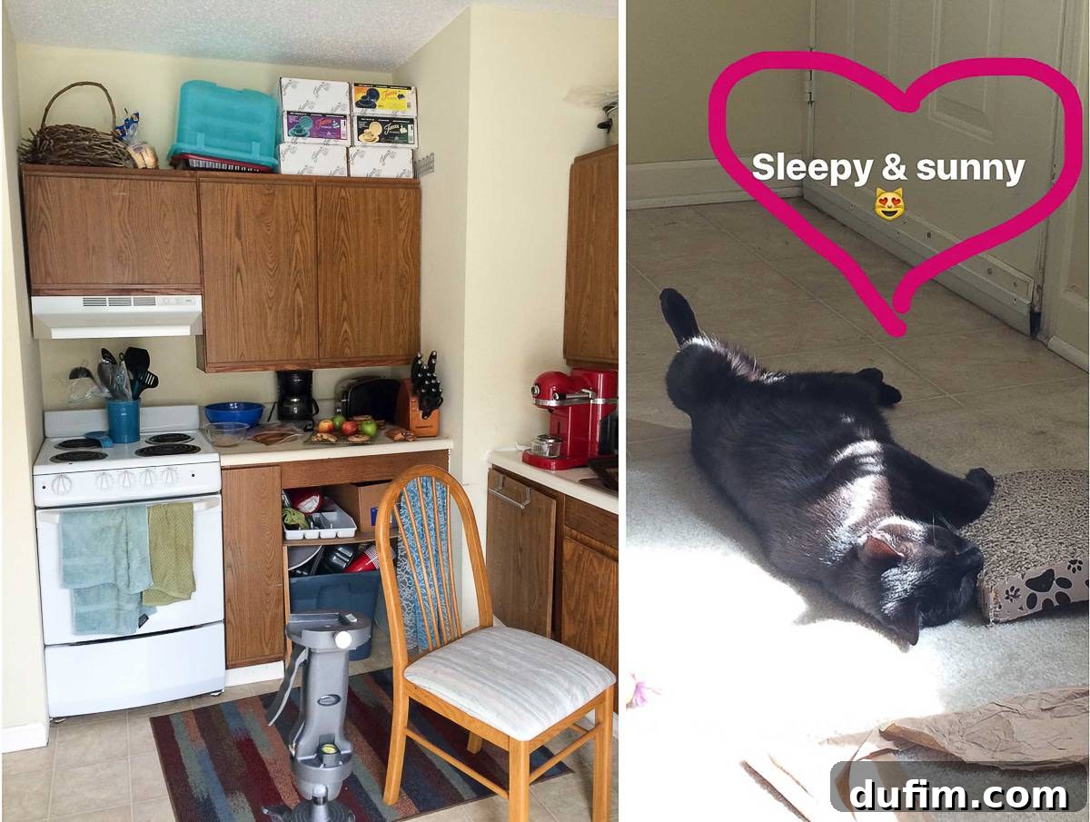 A Glimpse of Our Busy Kitchen and Sleeping Cats