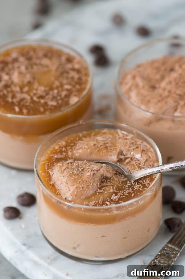 Two exquisite serving bowls of 3-ingredient coffee creamer mousse. One features a pumpkin spice flavor with graham cracker crumbs, and the other is a salted caramel mocha adorned with caramel drizzle and chocolate shavings.