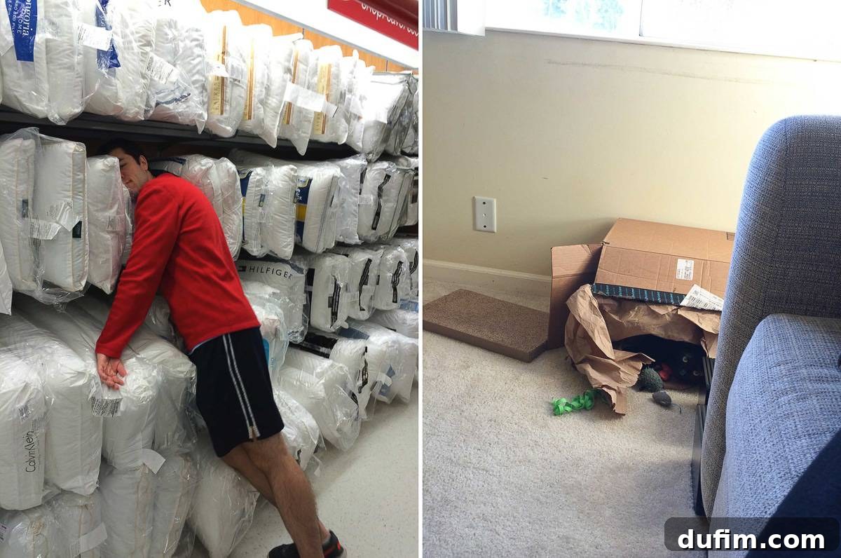 October 2016 Beyond the Kitchen 6 Ryan playfully posing and getting comfortable amidst a store's display of soft pillows, creating a humorous scene