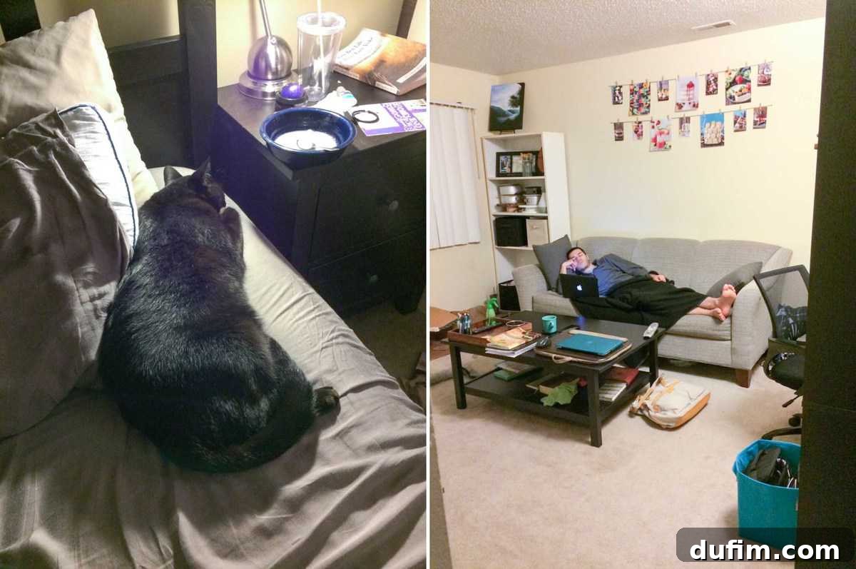 Salsa the dog curled up comfortably in bed, leaving room, and Ryan asleep at his desk after work