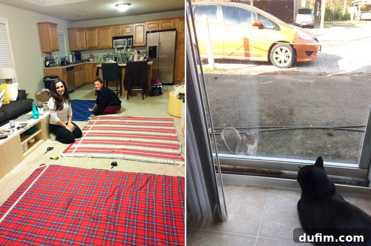 Friends making cozy fleece tie blankets together and a squirrel taunting Salsa through the window
