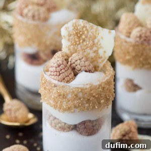 Decadent White Chocolate Raspberry Mousse 7 This easy white chocolate raspberry dessert mousse is the perfect gold dessert for New Year’s Eve!