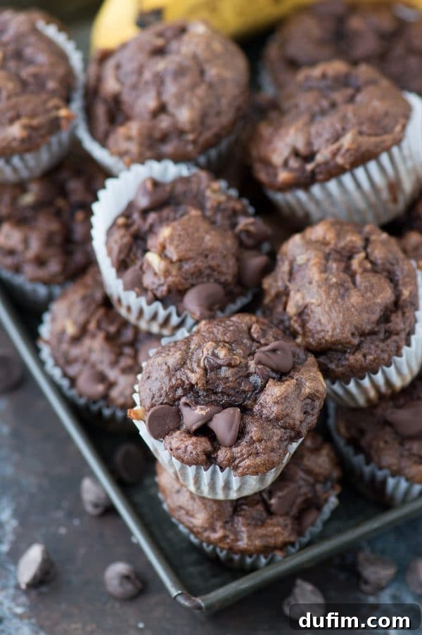 Guilt-Free Mini Chocolate Treats 2 Close-up of baked healthier chocolate mini muffins, golden brown with visible chocolate chips.