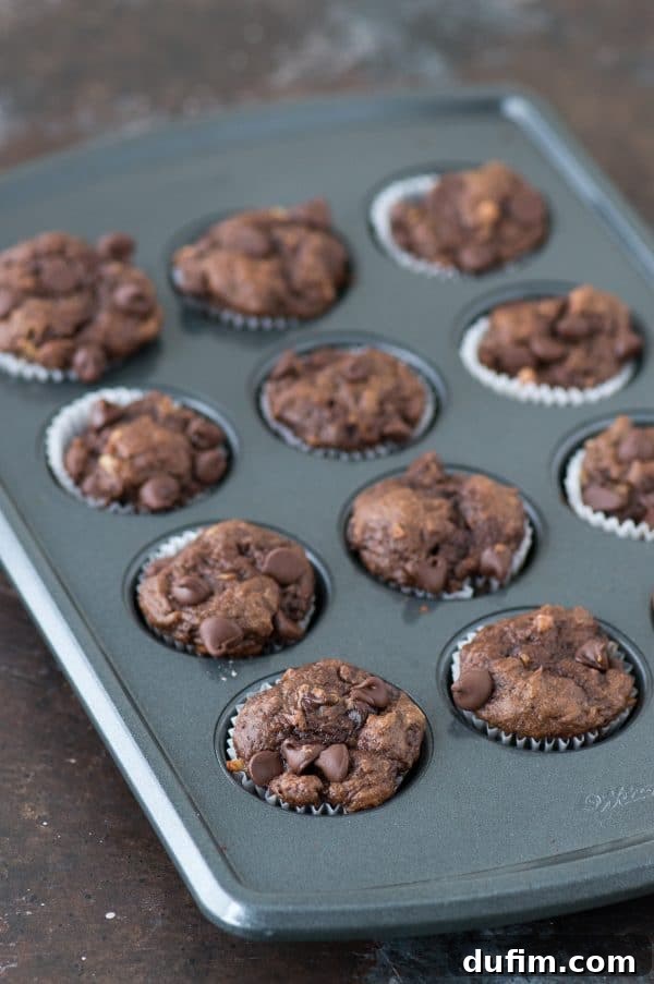 Guilt-Free Mini Chocolate Treats 3 A plate of freshly baked healthier chocolate mini muffins, showcasing their small size and inviting texture.