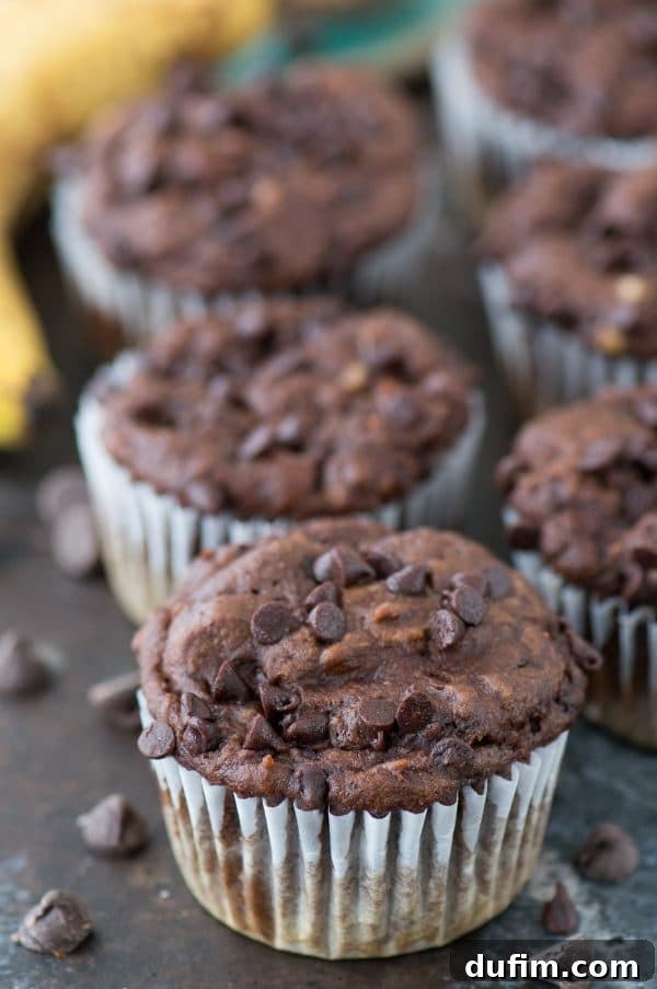 Guilt-Free Mini Chocolate Treats 4 Several healthier chocolate mini muffins arranged on a white serving plate, ready to be enjoyed.