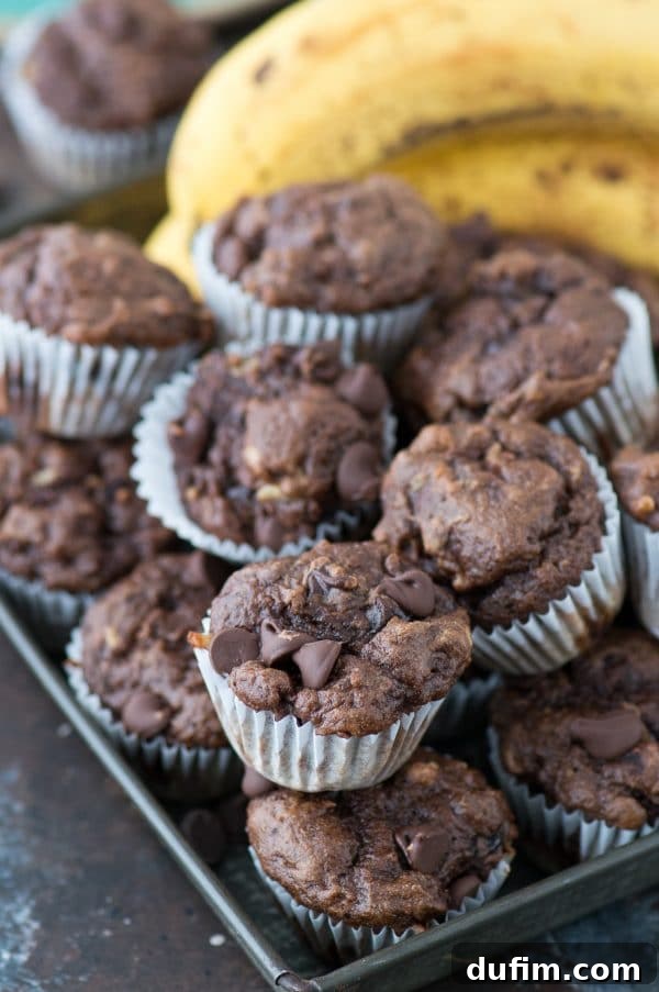 Guilt-Free Mini Chocolate Treats 5 A close-up shot revealing the moist, fluffy interior of a healthier chocolate mini muffin with visible melted chocolate chips.