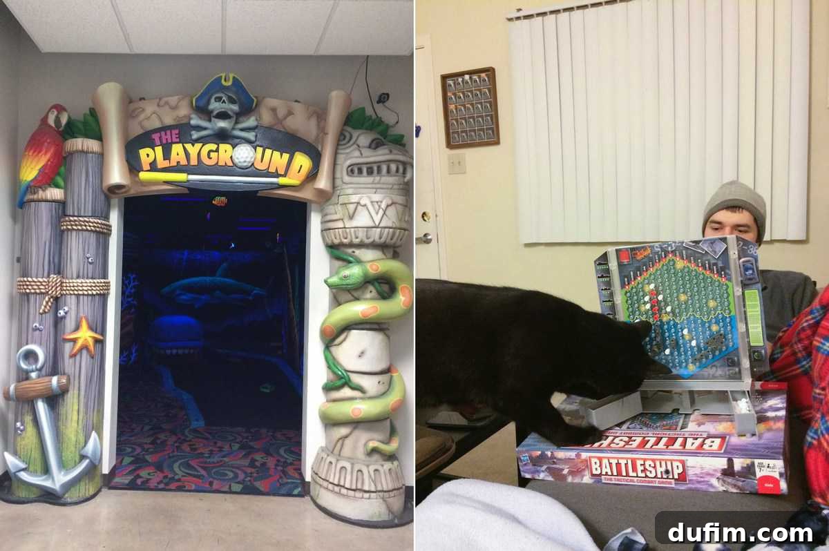 Indoor black light mini golf course with glowing obstacles and a curious cat watching a Battleship game